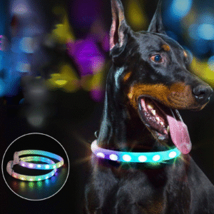 USB Rechargeable LED Dog Collar